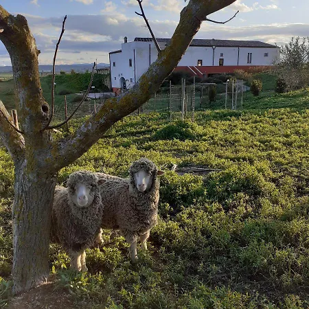 Masseria Moschella Farm stay Posta Piana