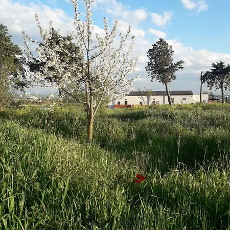 Farm stay Masseria Moschella Posta Piana