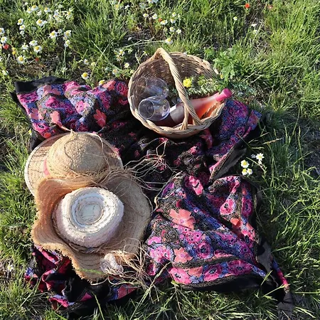 Farm stay Masseria Moschella *
